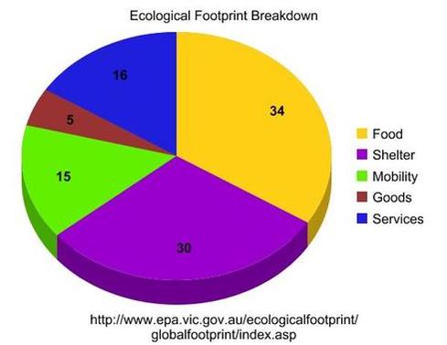 Ecological Footprint Chart